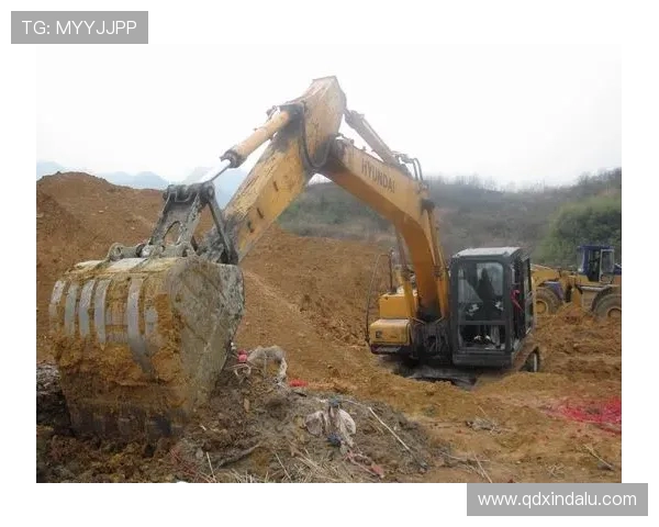 挖掘机物流园区场地硬化前处理