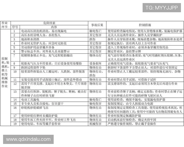 挖掘机违章作业案例分析